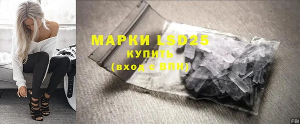 ECSTASY Бородино