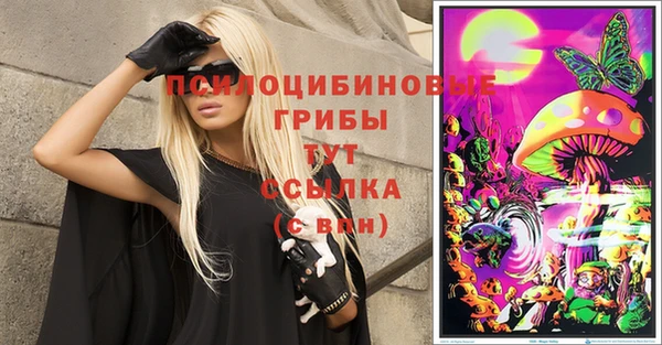 ECSTASY Бородино