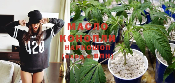 ECSTASY Бородино