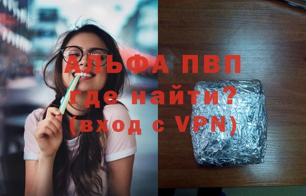 ECSTASY Бородино