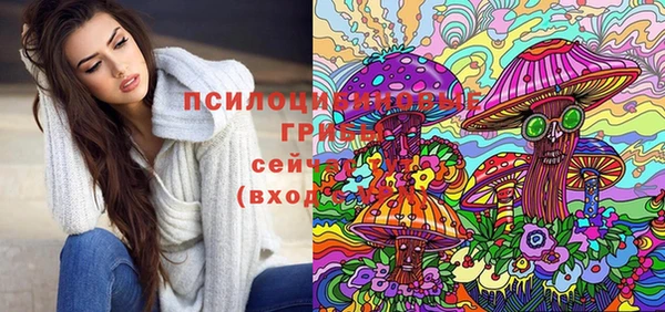 ECSTASY Бородино