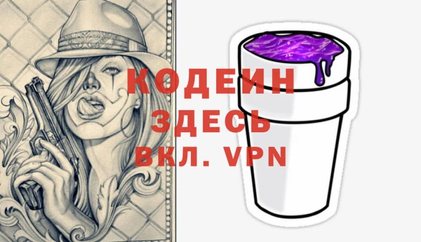 ECSTASY Бородино