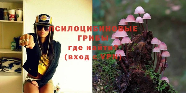 дживик Бугульма