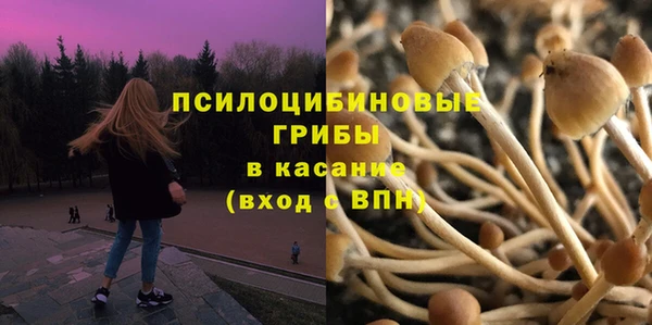 ECSTASY Бородино