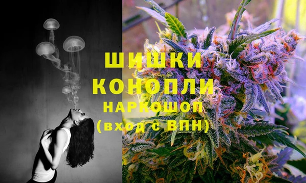 дживик Бугульма