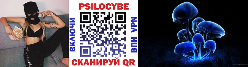 Галлюциногенные грибы мицелий  купить   Великий Новгород 